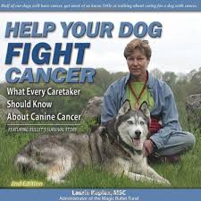The initial symptoms of this illness appear on the skin. Help Your Dog Fight Cancer What Every Caretaker Should Know About Canine Cancer Featuring Bullet S Survival Story 2nd Edition Kaplan Laurie 9780975479476 Amazon Com Books