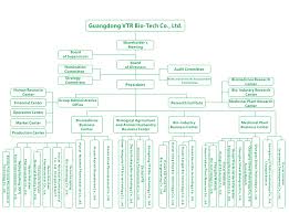 company organization chart guangdong vtr bio tech bio tech