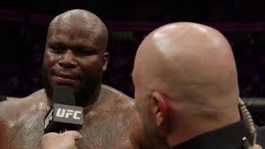 UFC 230 : Derrick Lewis