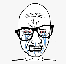 Image result for sad wojak