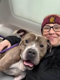 A Good Dog Rescue added a new photo.