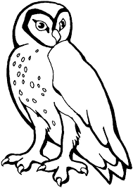 The owl coloring pages also available in pdf file that you can download for free. Barn Owl Coloring Page Coloringme Com
