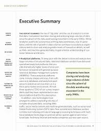 Summary Essay Example Beautiful Mapsingen Executive Summary Examples Executive Summary Template Executive Summary Example Executive Summary