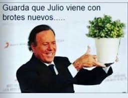 El 6 de julio de 1907 nació magdalena carmen frida kahlo calderón, la pintora mexicana más reconocida en el mundo. La Verdadera Grieta Los Memes De Julio Diario Con Vos