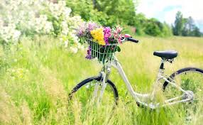 Check spelling or type a new query. 10 Lucruri De Care SÄƒ Nu Å£i Mai Pese Asa De Mult DacÄƒ Vrei SÄƒ Fii Fericit Epoch Times Romania