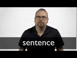 Spanish Translation Of Sentence Collins English Spanish Dictionary