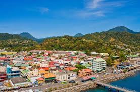 This form is intended to obtain information about contractors and artisans here in dominica. Dominica Citizenship By Investment Best Citizenships
