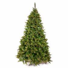 Increase the beauty in your home with this fir christmas tree. 10 11 12 Foot Christmas Trees Hayneedle