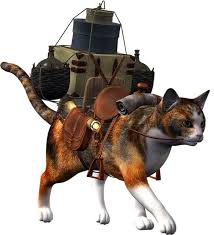 It's not so difficult, it's just that when transporting an animal, a number of rules must be observed. How To Transport A Cat Tuxedo Cat