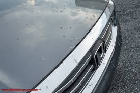 How Do I Remove Tree Sap From My Car Ask A Pro Blog