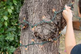 Lights for palm tree trunks. How To Wrap Trees With Outdoor Lights