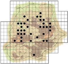 Image result for Indigofera melanadenia