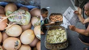 Informasi update harga telur ayam ras terkini kami hadirkan semaksimal mungkin setiap hari berlangganan info harga telur ayam ras setiap hari melalui whatsapp 30.000 selama 1 bulan. Saking Panasnya Pemilik Bisnis Ayam Ini Tetaskan Telur Di Pinggir Jalan Tribun Jogja