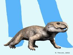 Image result for Dinophora spenneroides