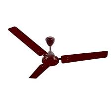 Something resembling an open fan (such as the leaf of certain palms). Buy Havells Pacer 1200mm Ceiling Fan Brown Pack Of 2 Online At Low Prices In India Amazon In