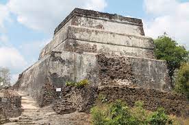 Get the reviews, ratings, location, contact details & timings. The Coati Cartels Of Tepoztlan Mexico