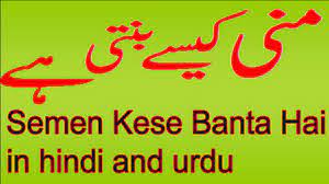 Find sound health translation meaning in urdu with definition from english urdu dictionary. Health Definition In Urdu Information Health