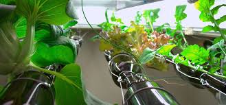 $35.54 (7 used & new offers) hdtv 4k uhd long distance outdoor digital tv antenna. Hydroponic Window Garden Ecohome