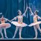 Winter Gala 2024