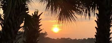 Meet Oral Surgeon Patrick A. Scioscia, DMD Lexington SC