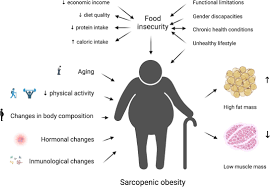 Image result for Body Composition Changes with Aging
