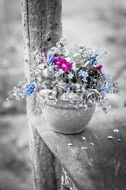 Beautiful Black And White Photography With Color Splash Pin By Kenda Secoy On Photos Gris Couleurs Color Splash Photo Color Splash Color Splash Photography