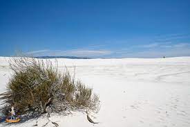 Dar es salaam means 'abode of peace'. White Sands Eine Schneeweisse Wuste