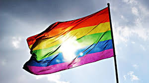 Bekijk onze regenboogvlag selectie voor de allerbeste unieke of custom handgemaakte items uit onze shops. Regenboogvlag Wappert Toch Bij Het Provinciehuis Omroep Zeeland