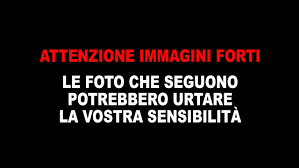 Nuovo decreto covid, stop spostamenti tra regioni. Zekyrlaprtrlum