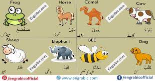 all animals name animals name in english animals wild animals name list