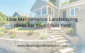 This front yard landscape is vastly covered with greenery while the nandina plants and a few petunia blossoms highlight the view. 6 Low Maintenance Landscaping Ideas For Your Front Yard