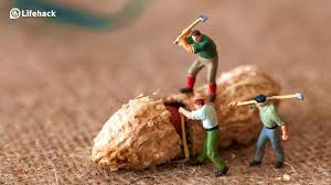 Maybe you would like to learn more about one of these? 5 Fast Ways To Make Yourself Better At Your Job