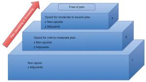 Maybe you would like to learn more about one of these? Pain Management In Patients With Malignant Mesothelioma Challenges An Lctt