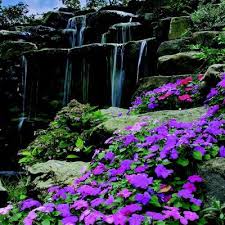 Please find below an extensive list of flower names, firstly by common name and then their botanical equivalent. Garden Flowers On Twitter Names And Pictures Of Traditional English Cottage Garden Flowers Https T Co F29tsgpfxn Garden Flowers