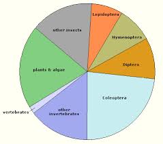 65 Rational Animal Scientific Classification Chart