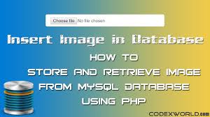 Store And Retrieve Image From Mysql Database Using Php Codexworld Mysql Web Development Tutorial Mysql Php
