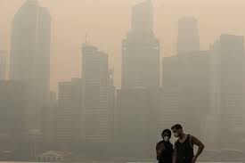 As a result, narayan sastry assembled data from malaysia to study the mortality effects in that country of smoke haze from the indonesian forest fires. 5 Things To Know About The Haze In Southeast Asia Wsj