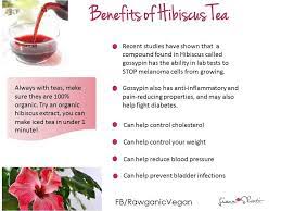 Hibiscus Hibiscus Tea Benefits Hibiscus Tea Hibiscus