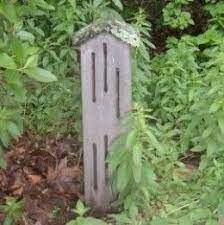 Butterfly House Plans How To Build A Butterfly House Butterfly House Bird Houses Diy Bird House Kits