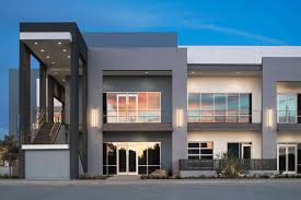 Image result for Isoglossa eliasbandae