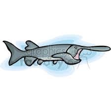 Paddlefish Commercial Use Gif Jpg Wmf Svg Clipart 132657 Graphics Factory