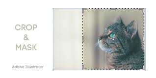 Check spelling or type a new query. 3 Useful Ways To Crop An Image In Adobe Illustrator