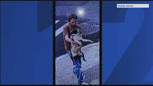 Dog found tossed in Morris Park garbage can dies