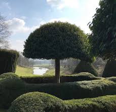 Olga On Instagram Good Morning Happy Topiary Tuesday My Sweet Friends This Photo Is Captivating And I L Ve The Way They Captu Love Garden Blue Sky Manor