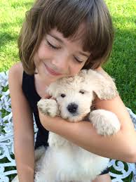 Profile for Hoosier Doodles