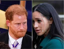 Prince Harry's Genetic Illness Revelation