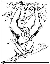 Select from 36048 printable coloring pages of cartoons, animals, nature, bible and many more. Orangutan Coloring Page Animals Town Animals Color Sheet Orangutan Free Printable Coloring Pages Animals