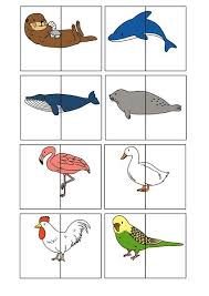 Okul Oncesi Puzzle Etkinlikleri Hayvanlar Puzzle Bebek Egitim Etkinlikleri