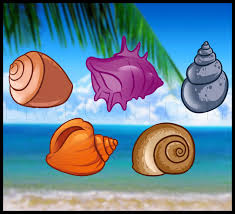 What do seashells do in the real world? How To Draw Shells Step By Step Drawing Guide By Dawn Dragoart Com
