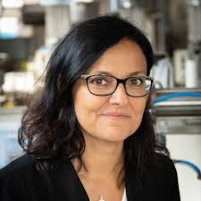 Lisa Narducci's Instagram, Twitter & Facebook